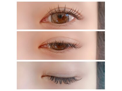 アルビコッコ(Albicocco)の写真