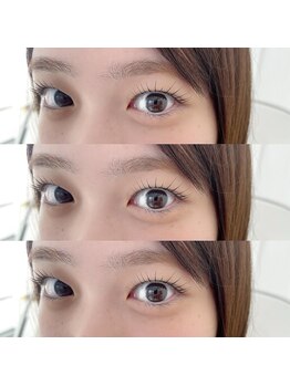 トワエモア バイ シーン(Toi et moi by SCENE)/ラッシュリフト/パンダロッド