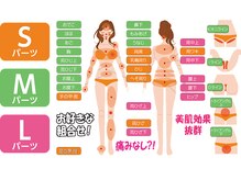 リラクステ タバタ Rirakste TABATA　/ 脱毛S・M・Lパーツ