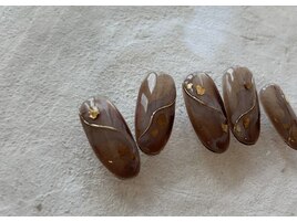 定額Autumn collection 10月