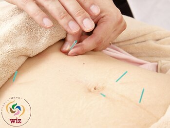 ウィズ(Wiz)/妊活◆消化力を高め卵子に栄養を