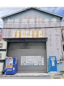 アクロバットジムホワイト/