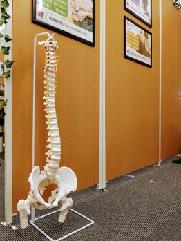 ナオル整体 大阪茨木院(NAORU整体)/骨格模型で視覚的にも理解！