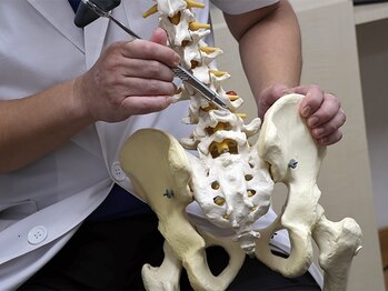 シャロームカイロプラクティックおおば/説明【カイロ・整体】