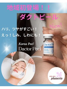 エステサロン プルメリア(plumeria)/ダクトピール