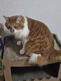 フリーティング(Fleeting) 猫様のために働きます笑