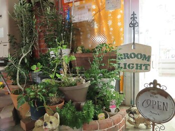 グルームライト(GROOM LIGHT)の写真/お客様一人一人のお悩みに寄り添い、丁寧にカウンセリングしていきます♪まずはお気軽にご相談ください◎
