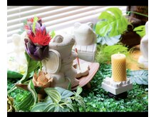 つばき亭/カエル達