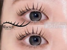 シュシュ(Shu Shu)