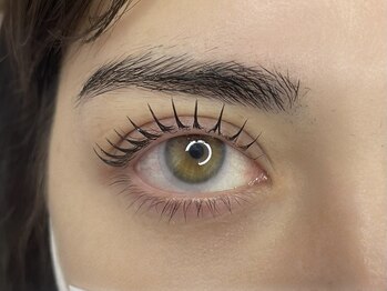 リリーアイラッシュ(Lily Eyelash)/