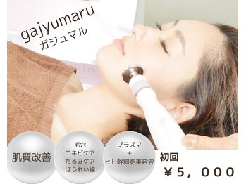 ガジュマル(gajyumaru)