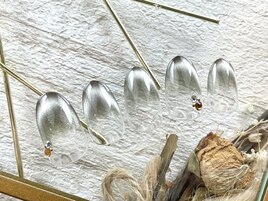 【パラジェル】トレンドデザイン