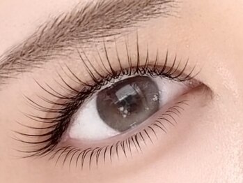 カシュ カシュの写真/【最軽量×超長モチ】人気の軽量LEDフラットラッシュ♪モチの良さも大好評◎あなたの理想の目元を実現★