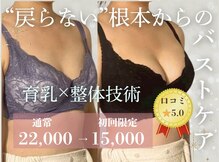 シャンス アルファ(chance)