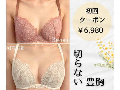 プレミドール(PREMIDOLL)の写真