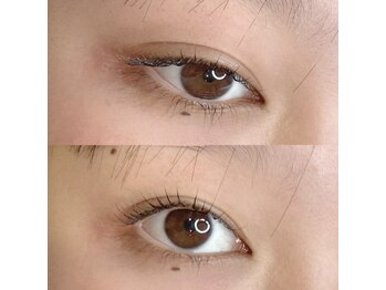 パルズ 柏(PALS)/まつげパーマ[まつパ/マツエク]