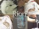 リオリ(Riori)の写真