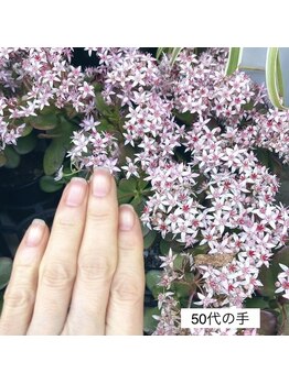 桃の木 吉祥寺店/50代の手