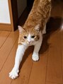 脱毛サロン リッカ(Lycka) 白いおててがチャームポイントです。