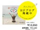 ミスミセス(Miss.Mrs)の写真