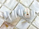 【パラジェル】オフィスデザイン