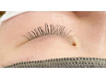 アイラッシュサロン ヴァイオレット(Violet)/フラットラッシュ　キュート