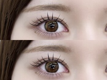 シーズ ラッシュ 新宿店(She's lash)の写真/【大人気★フラットラッシュ～120本まで¥5500】豊富なデザインをご用意♪Brown 変更無料！豊富なカラーも◎