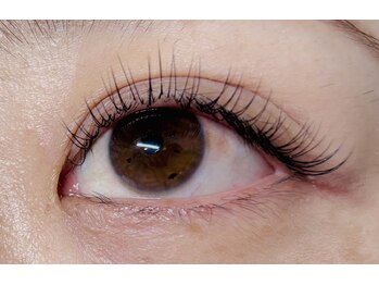 ラシック(Lachic)/シングルエクステ140本