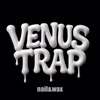 ヴィーナス トラップ(VENUS TRAP)のお店ロゴ