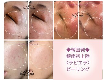 ケイ ティ レディース