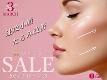 ブリリオプラス ナラ(Brillio plus NARA)