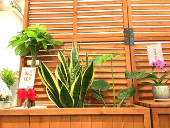 おなかちゃん 大阪本町店/待合からの眺め