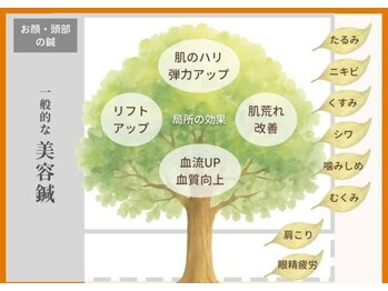 鍼灸院ひなた/一般的な美容鍼とは？