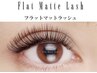 【期間限定】超軽量フラットラッシュ80本☆オフ込・コーティング付