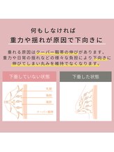 ジュエルリング(Jewel Ring)/バストアップ恵比寿・渋谷