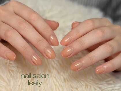 リーフィー(leafy)の写真