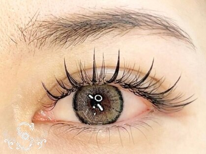 スムース(Smooth)の写真