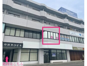 マドンナリリー(Madonna Lily)/たべる菜さんの２階♪