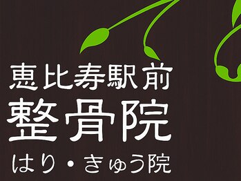 恵比寿駅前整骨院はり院 別館【美容鍼・鍼治療・整体】の写真/《施術歴17年の国家資格保有者による本格美容鍼》食いしばり・エラ張り・くすみ・クマ・しわ改善に◎
