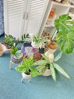 マシュマロハンド/よもぎ蒸し/冷え/むくみ改善