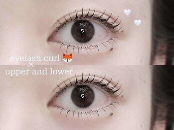 プラス ファースト(Plus 1st)/まつ毛パーマ　by kimura