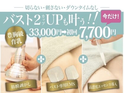 美人バスト 掛川店の写真