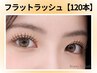 8月限定《新規》【LED】エクステ120本美容コーティング付¥6600