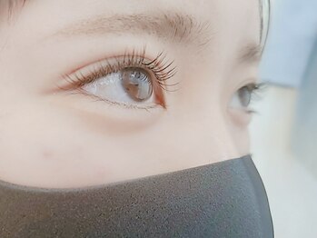 シェル 松戸(Shell)/シングルラッシュリペア　80本