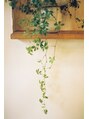 スパ クイクレイディト(Spa Qui Creidet)/澤 和代