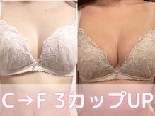 ヒヨコ 池袋西口店(Hiyoko)の雰囲気(バストアップだけでなくハリも!【バストアップ/池袋/東京/育乳】)