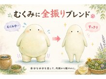 ベルツリー(BELLTREE)の雰囲気(6月限定ブレンド♪むくみに全振りしました!!6月2日~スタート)