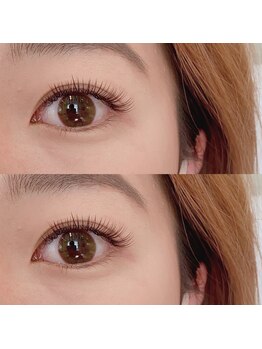 バタフライ 平塚店(Butterfly)/カーキブラウン