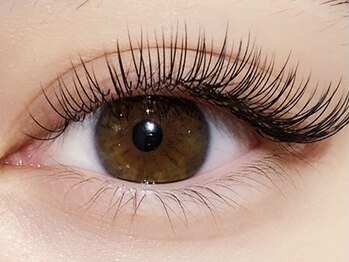 ベルエ 福島店(Belle)/ボリュームラッシュ/マツエク