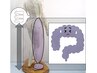 【便通にお悩みの方】大腸につながる腰～脚への施術で、腸の動きを改善します